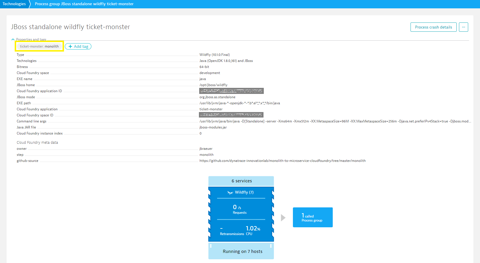 cloud foundry metadata