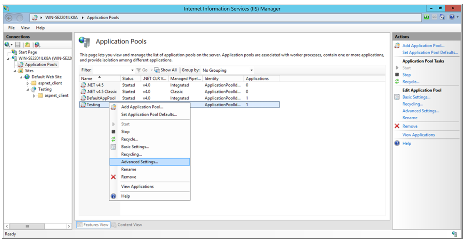 environment variable IIS