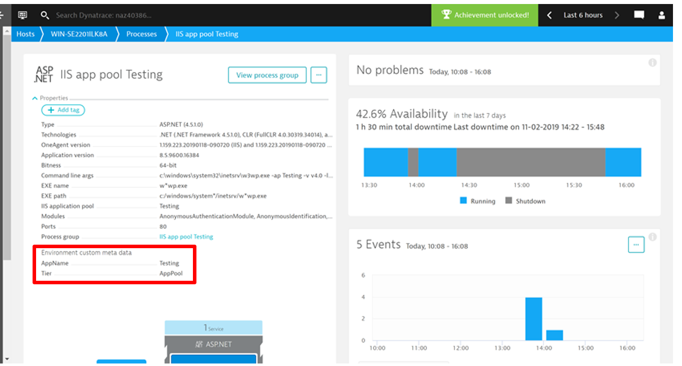 environment variable IIS