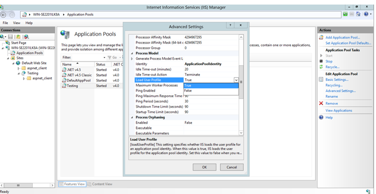 environment variable IIS