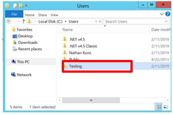 environment variable IIS