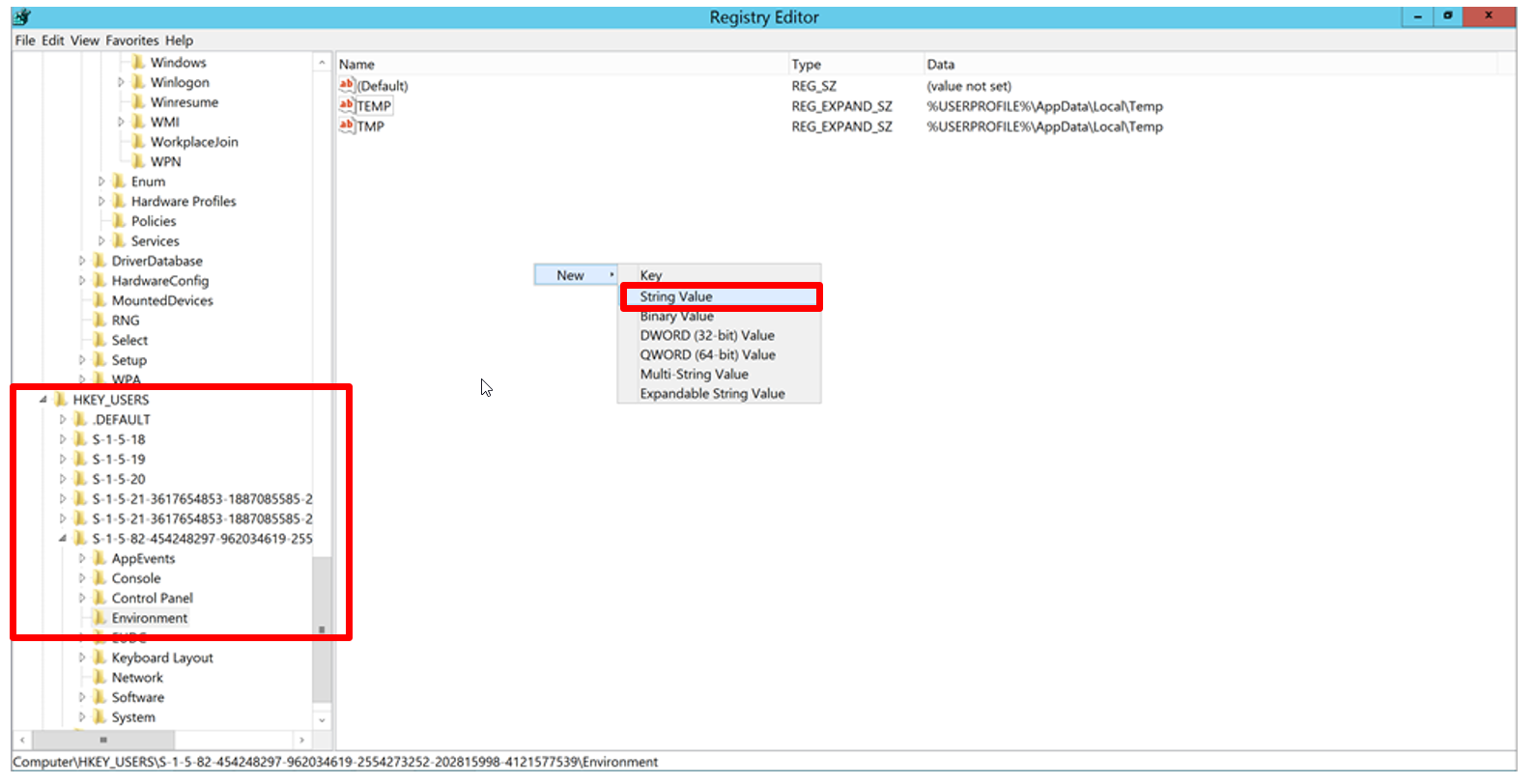 environment variable IIS