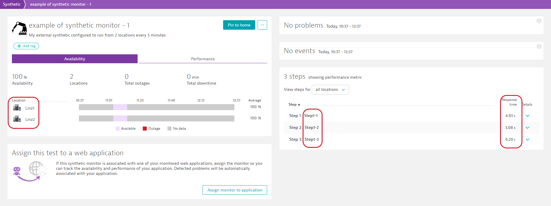 External synthetic monitor details